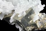 Bargain, Quartz Crystal Cluster With Gleaming Pyrite - Peru #95944-3